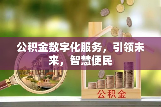 治多公积金数字化服务，引领未来，智慧便民