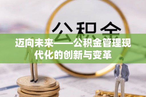 治多迈向未来——公积金管理现代化的创新与变革