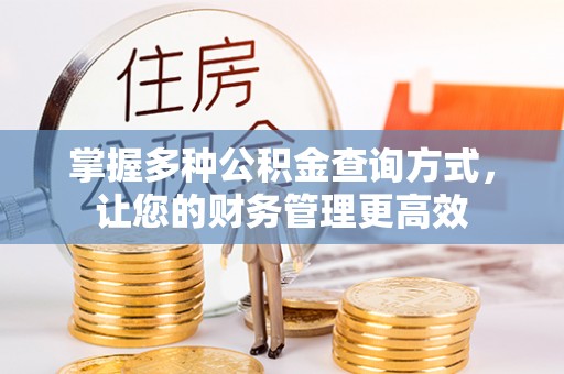 治多掌握多种公积金查询方式，让您的财务管理更高效