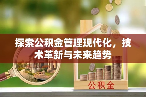 治多探索公积金管理现代化，技术革新与未来趋势