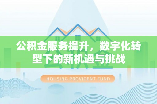 治多公积金服务提升，数字化转型下的新机遇与挑战