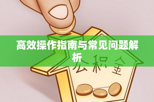 治多高效操作指南与常见问题解析