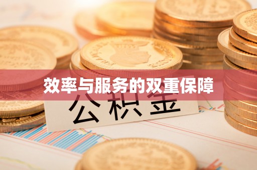 治多效率与服务的双重保障