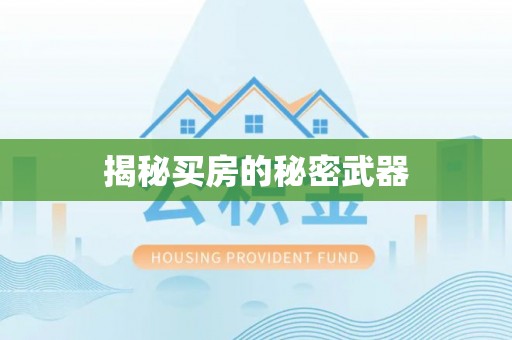 治多揭秘买房的秘密武器