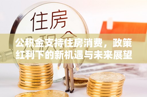 治多公积金支持住房消费，政策红利下的新机遇与未来展望