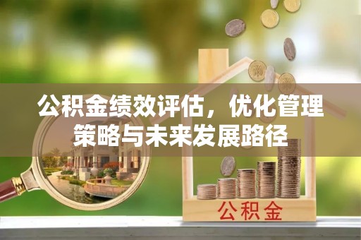 治多公积金绩效评估，优化管理策略与未来发展路径