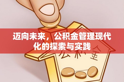 治多迈向未来，公积金管理现代化的探索与实践