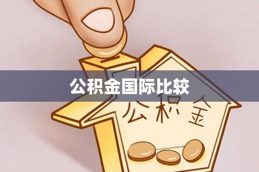 治多公积金国际比较