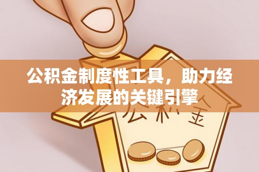 治多公积金制度性工具，助力经济发展的关键引擎