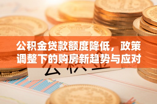 治多公积金贷款额度降低，政策调整下的购房新趋势与应对策略