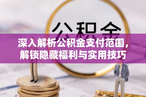 治多深入解析公积金支付范围，解锁隐藏福利与实用技巧