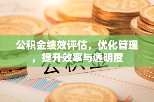 治多公积金绩效评估，优化管理，提升效率与透明度