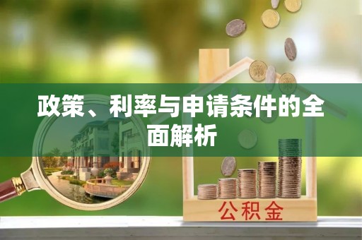 治多政策、利率与申请条件的全面解析