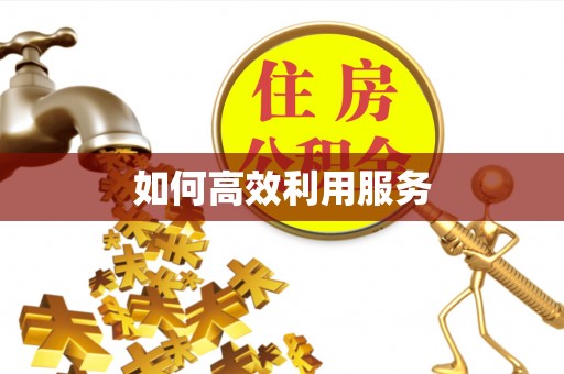 治多如何高效利用服务