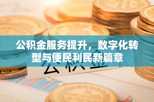 治多公积金服务提升，数字化转型与便民利民新篇章