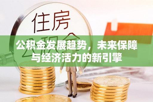 治多公积金发展趋势，未来保障与经济活力的新引擎