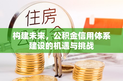 治多构建未来，公积金信用体系建设的机遇与挑战