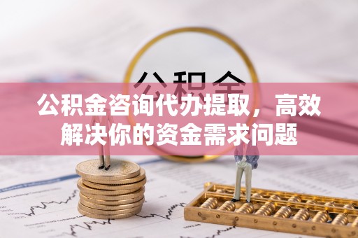 治多公积金咨询代办提取，高效解决你的资金需求问题