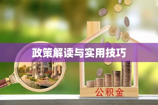治多政策解读与实用技巧