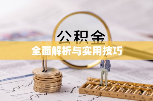 治多全面解析与实用技巧