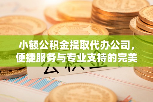 治多小额公积金提取代办公司，便捷服务与专业支持的完美结合