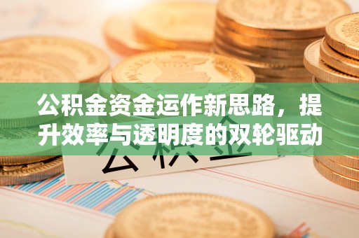 治多公积金资金运作新思路，提升效率与透明度的双轮驱动