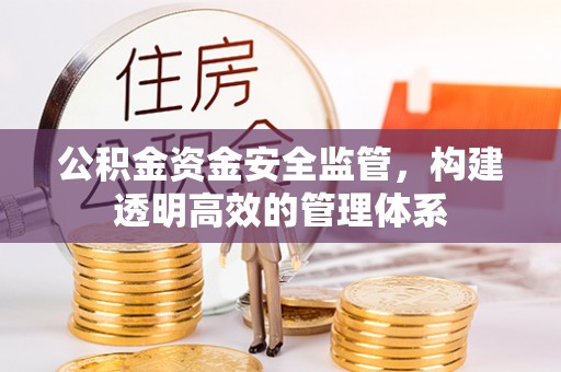 治多公积金资金安全监管，构建透明高效的管理体系