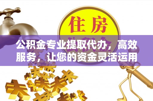 治多公积金专业提取代办，高效服务，让您的资金灵活运用