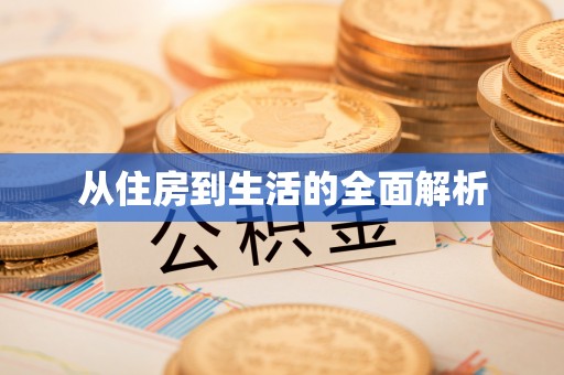 治多从住房到生活的全面解析