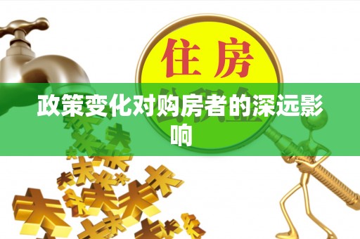 治多政策变化对购房者的深远影响
