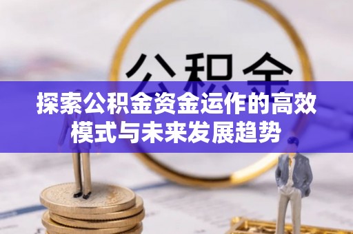 治多探索公积金资金运作的高效模式与未来发展趋势