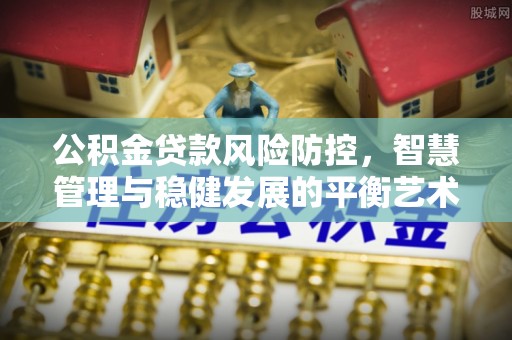 治多公积金贷款风险防控，智慧管理与稳健发展的平衡艺术
