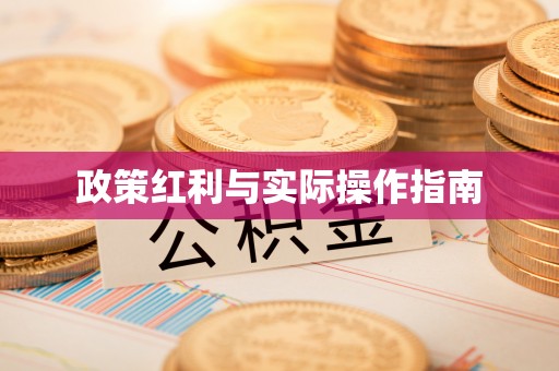 治多政策红利与实际操作指南