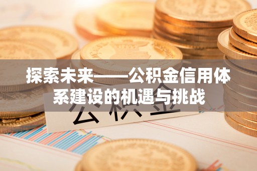 治多探索未来——公积金信用体系建设的机遇与挑战