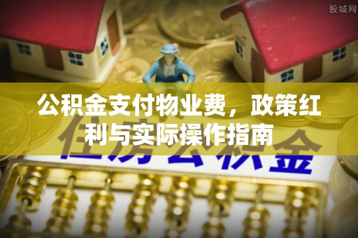 治多公积金支付物业费，政策红利与实际操作指南