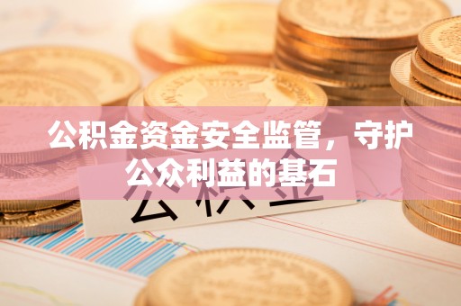 治多公积金资金安全监管，守护公众利益的基石
