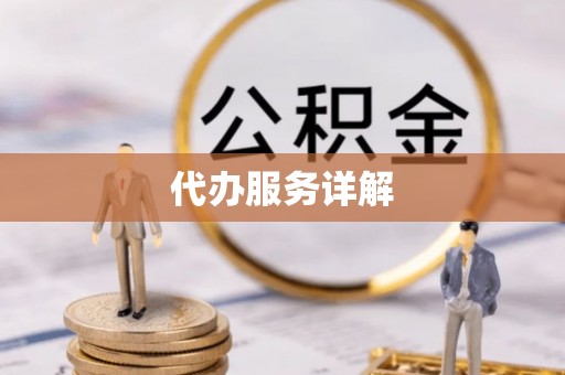 治多代办服务详解