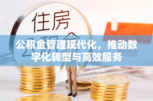 治多公积金管理现代化，推动数字化转型与高效服务