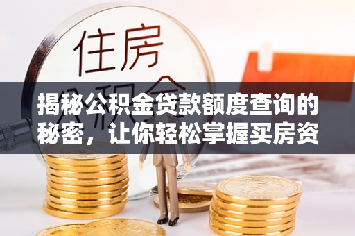 治多揭秘公积金贷款额度查询的秘密，让你轻松掌握买房资金规划