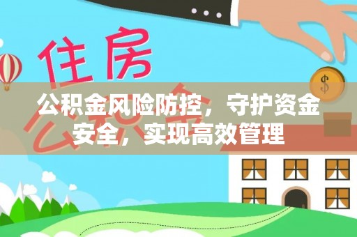 治多公积金风险防控，守护资金安全，实现高效管理
