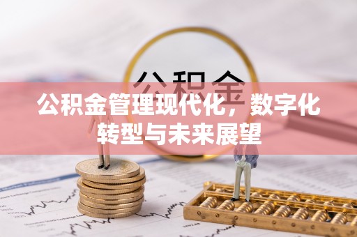 治多公积金管理现代化，数字化转型与未来展望
