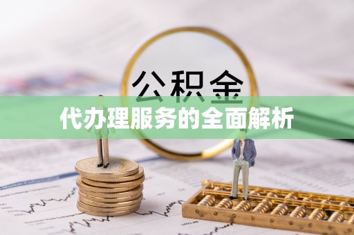 治多代办理服务的全面解析