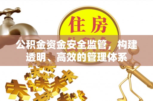 治多公积金资金安全监管，构建透明、高效的管理体系