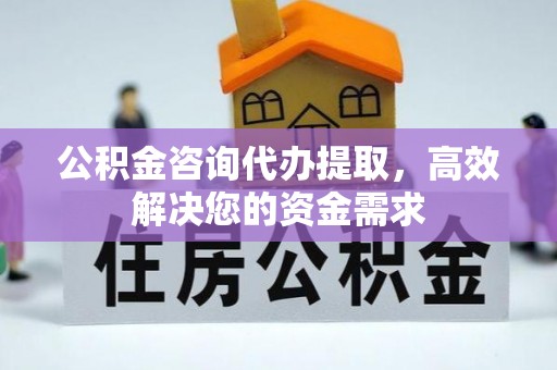 治多公积金咨询代办提取，高效解决您的资金需求
