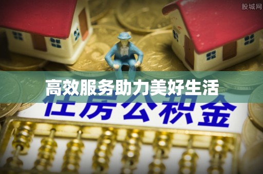 治多高效服务助力美好生活