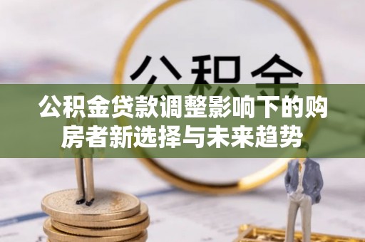 治多公积金贷款调整影响下的购房者新选择与未来趋势