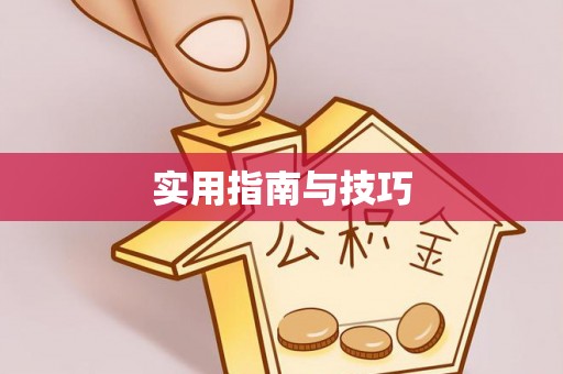 治多实用指南与技巧