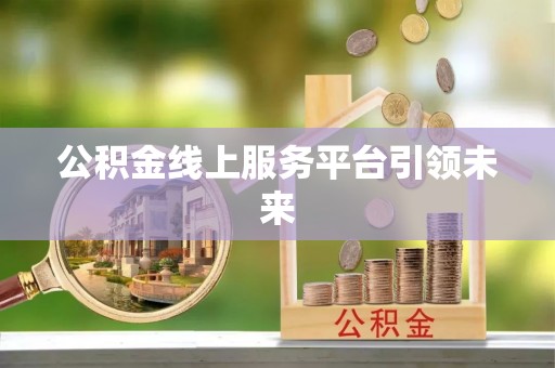 治多公积金线上服务平台引领未来