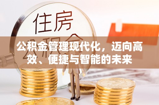治多公积金管理现代化，迈向高效、便捷与智能的未来