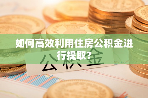 治多如何高效利用住房公积金进行提取？